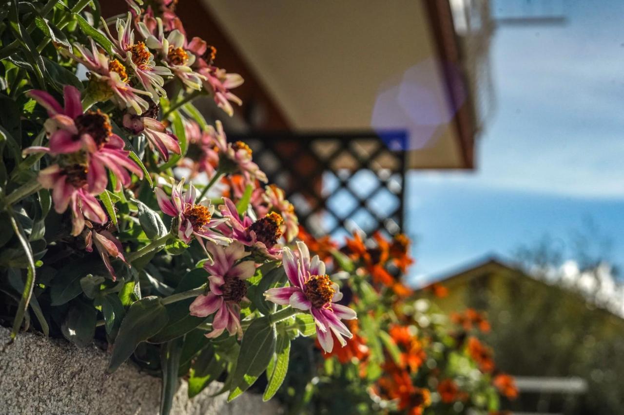 Agriturismo La Rocca サン・バルトロメーオ・アル・マーレ エクステリア 写真