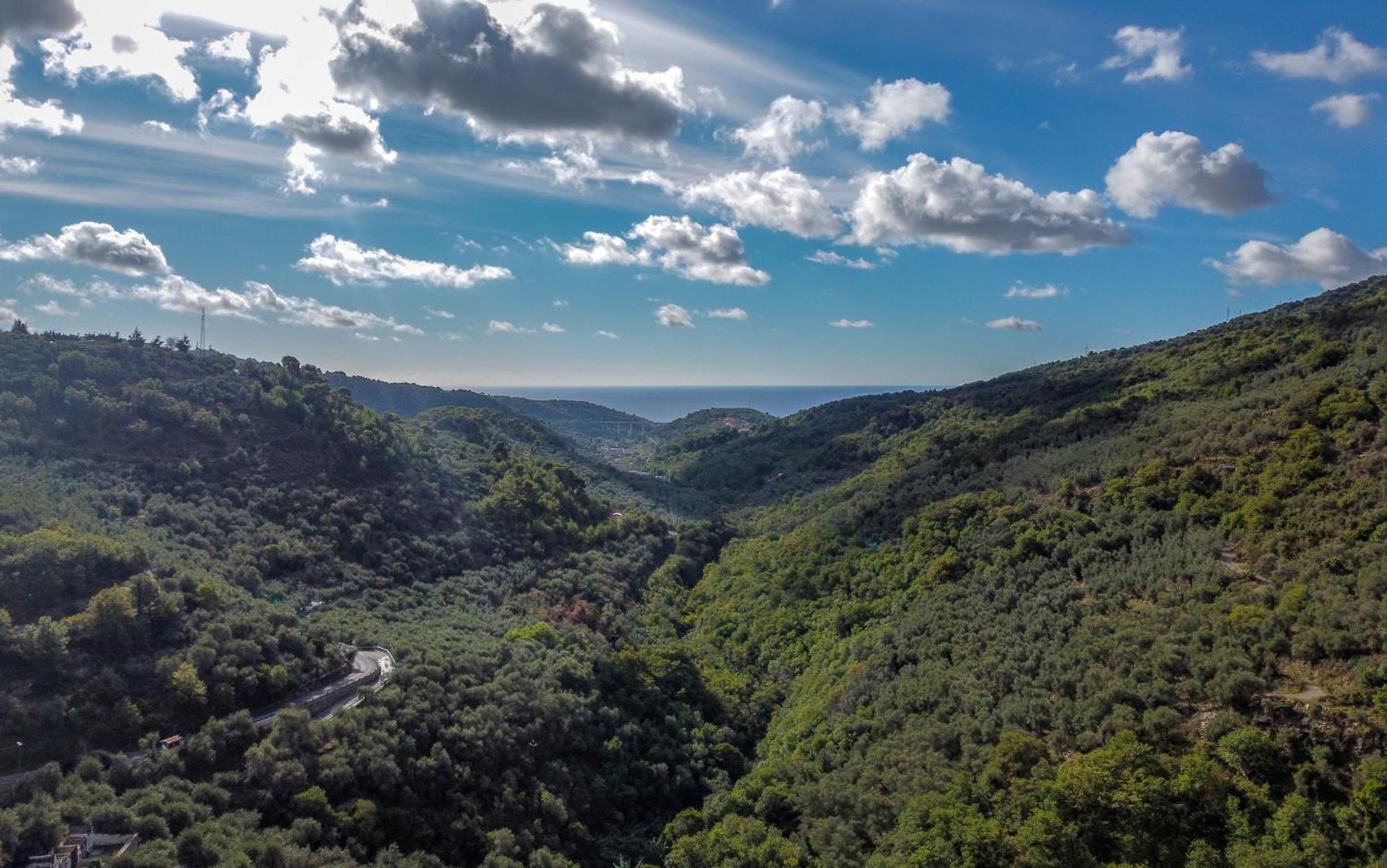 Agriturismo La Rocca サン・バルトロメーオ・アル・マーレ エクステリア 写真