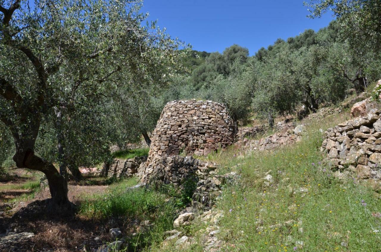 Agriturismo La Rocca サン・バルトロメーオ・アル・マーレ エクステリア 写真